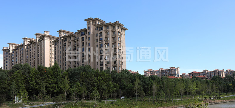 新明半岛 新明半岛