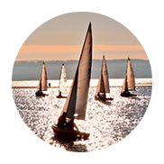 米兰官方版网站登录入口